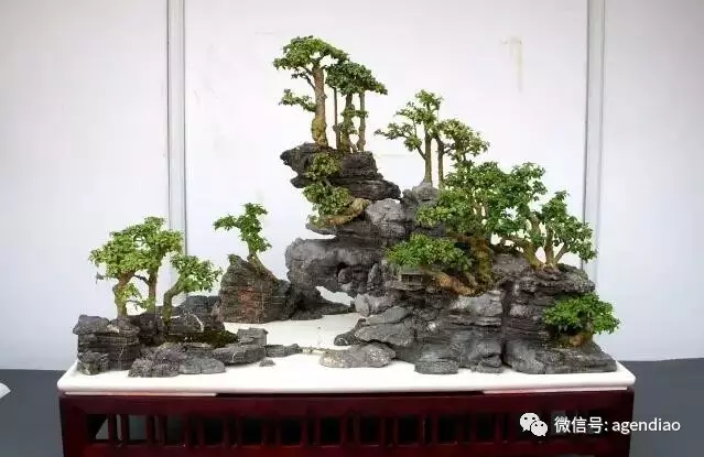 2016年 给大家带来一组山水盆景作品