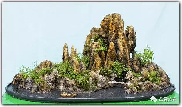 如何养护管理山水盆景 图片