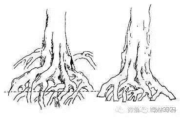 老崔也来玩玩手绘盆景造型