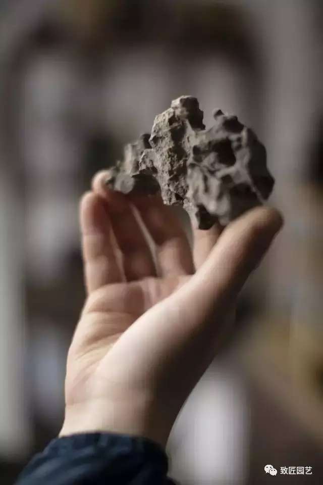 图解 新手入门 如何设计盆景