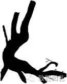 盆景怎么整体造型的方法