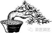 盆景怎么整体造型的方法