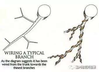 盆景造型整姿用金属线的优点