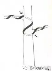 盆景造型整姿用金属线的优点