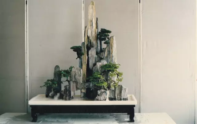 山水盆景之常用石头种类 图片