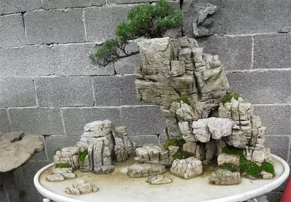 山水盆景之常用石头种类 图片