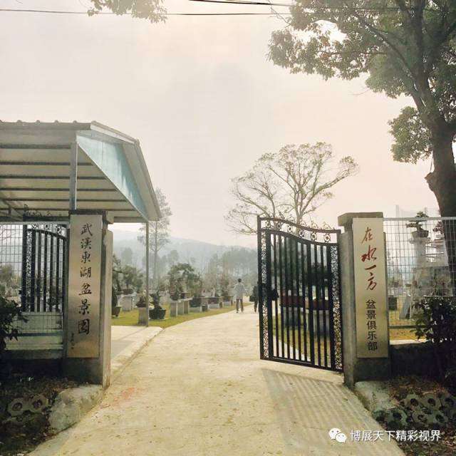 湖北盆景届大佬相聚东湖盆景园