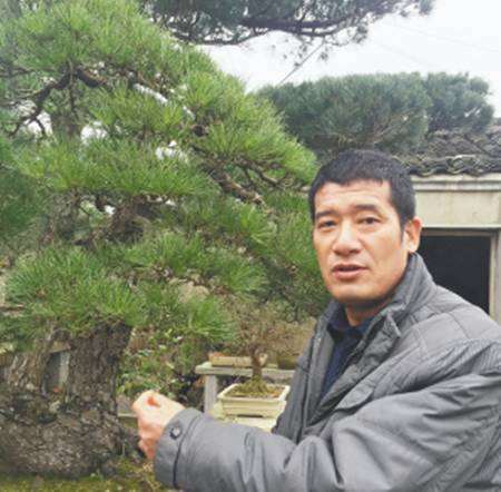 世界盆景文化交流大使！新昌竟然还有这样一位手艺人！