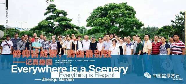 东莞第一位国家盆景艺术大师家的园子长什么样?