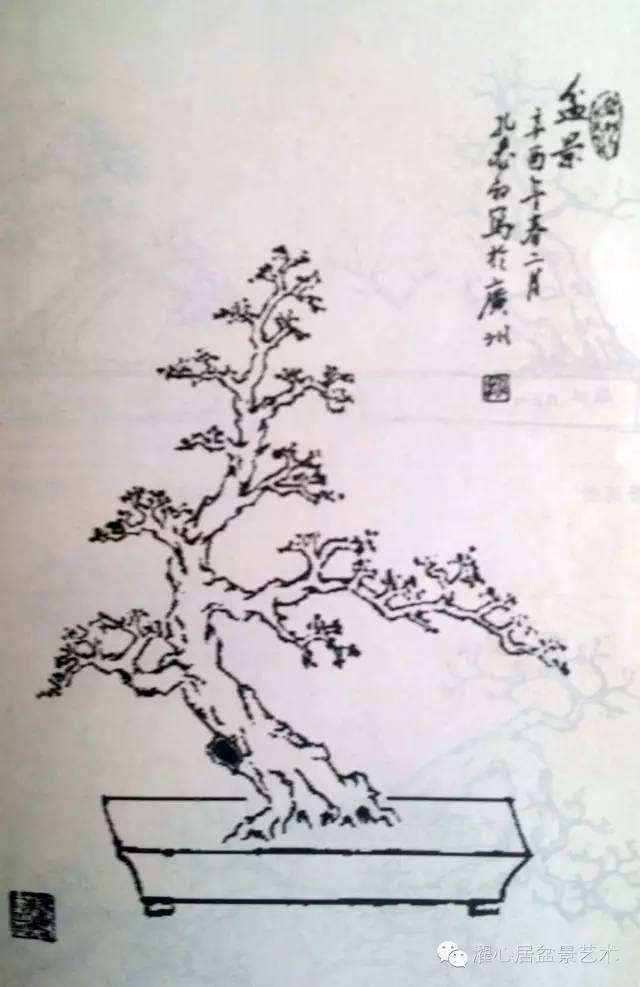 本人对岭南盆景的造型作过深入的研究