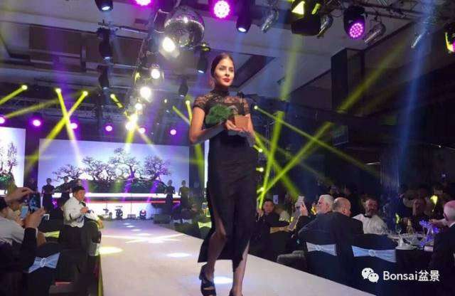 2017年盆景该如何发展？