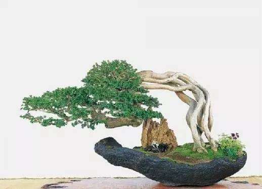 山水盆景的树、饰物与青苔