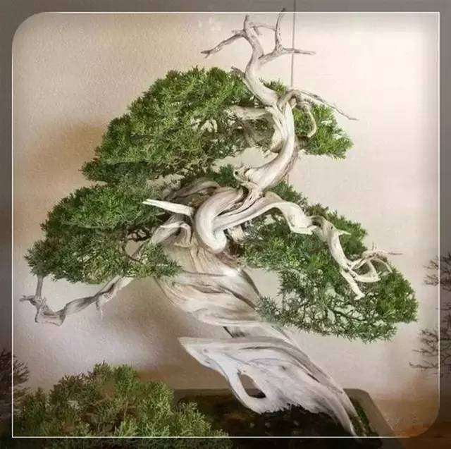 山水盆景的题名