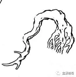 树桩盆景的树坯怎么繁殖培育