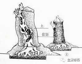 树桩盆景的树坯怎么繁殖培育