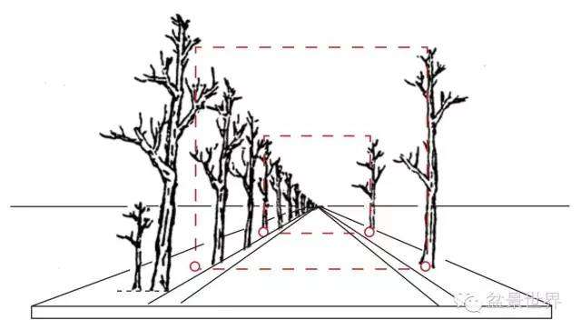 丛林盆景怎么布局的方法