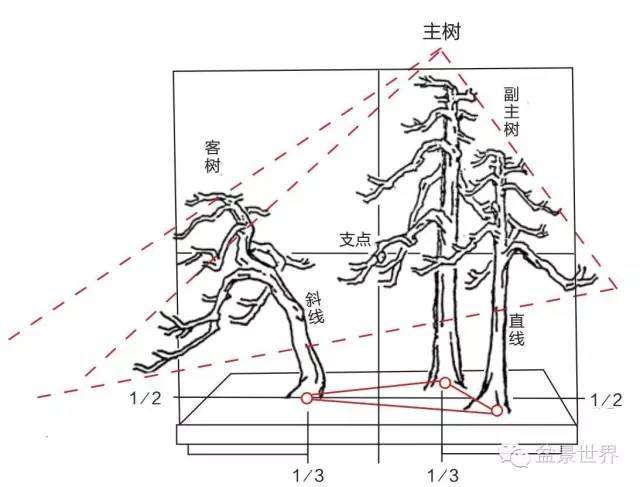 丛林盆景怎么布局的方法