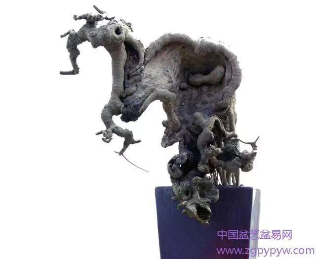 盆景造型的“形神兼备”