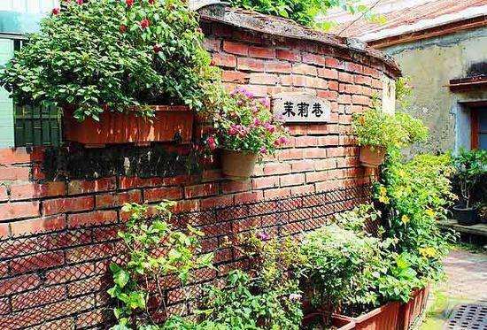 缘起的古早盆景