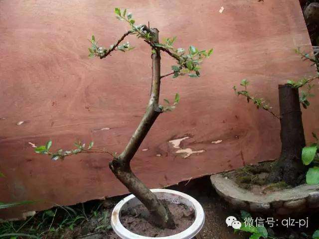 图解下山桩挖掘过程