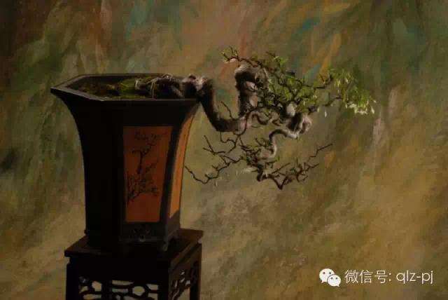 读叶以健盆友的盆景艺术中的