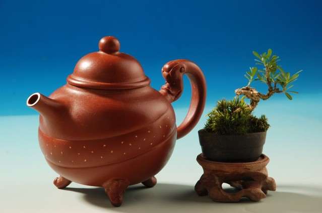 虽说盆景是一门讲究大树缩小并且标榜着以小喻大的学问