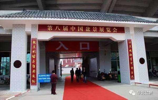 漫步在第八届中国盆景展览会上（组图）