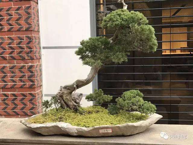 鸿江盆景文化园受邀参展厦门保利拍卖公司年会