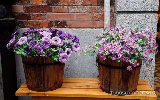 室内花卉盆景摆放正确的摆法知多少