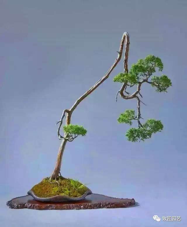 中国绘画与中国盆景