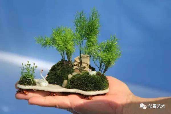 如何制作微型盆景的4个方法
