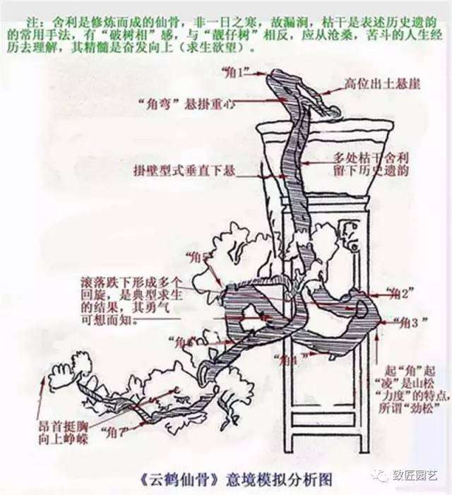 怎么制作悬崖盆景的方法