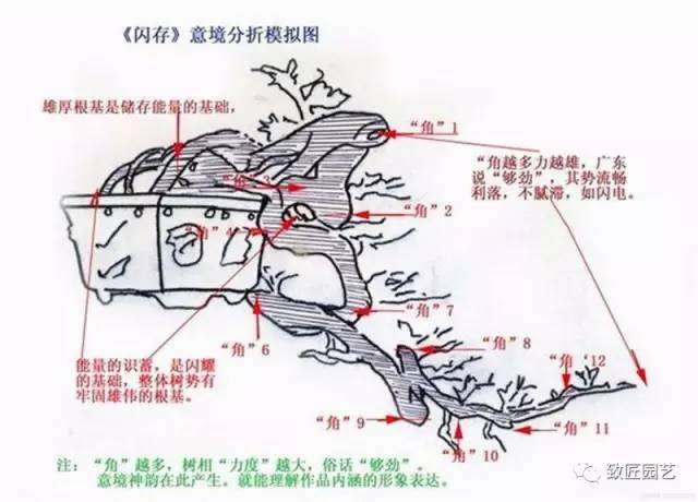 怎么制作悬崖盆景的方法
