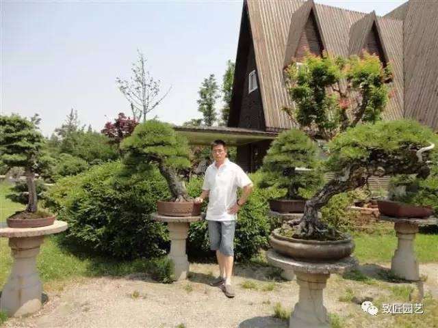 盆景大师王永康的人生轨迹