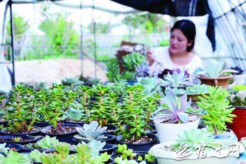 中国盆景精品邀请展暨盆景创作比赛