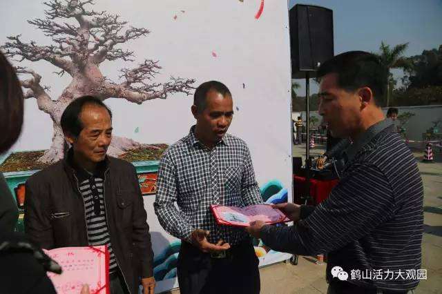 鹤山第四届盆景展开幕好热闹,连市长都参与!