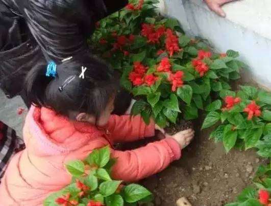 盆栽想要长得好 关键土得好