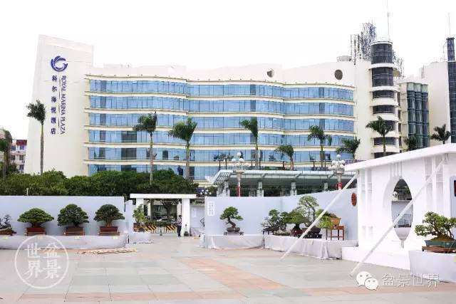 第九届中国盆景展览金奖作品全纪录