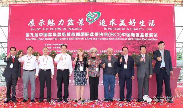 精彩回顾丨第九届中国盆景展览金奖作品全纪录