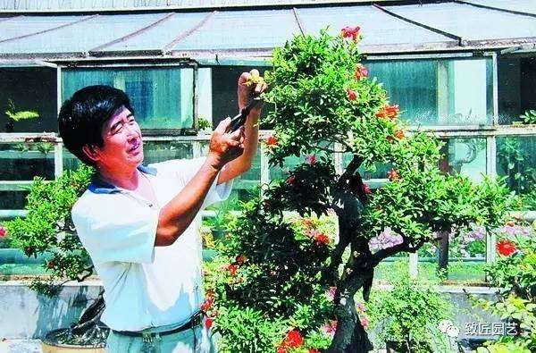 中国盆景大师赵福文