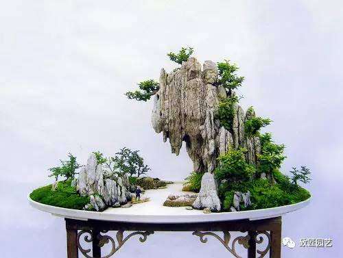 汕头盆景大师作品赏析 郑永泰 图片