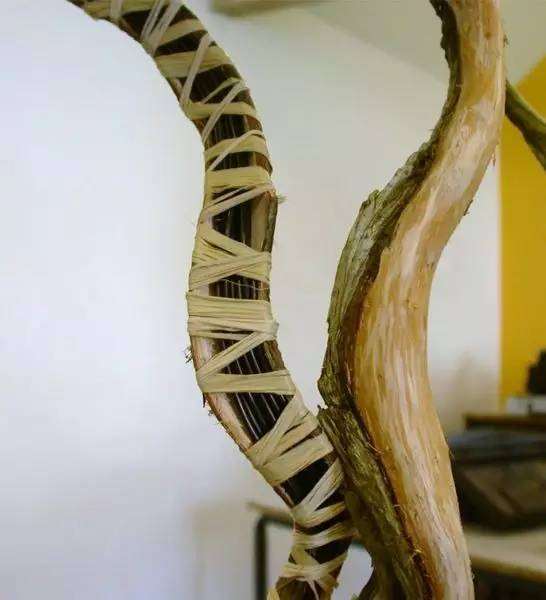 杜松盆景怎么制作舍利骨的方法