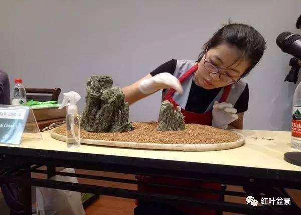 微型盆景专辑(三)“中国风”第三届全国微型小品盆景展