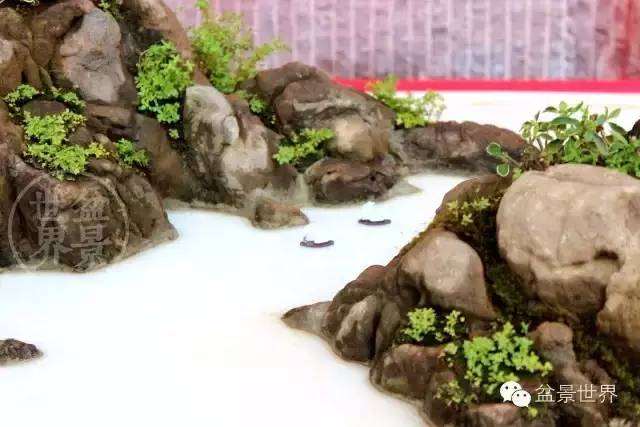 精彩回顾丨具有里程碑意义的第七届云南盆景展