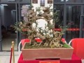 岭南盆景-左手艺术右手神迹