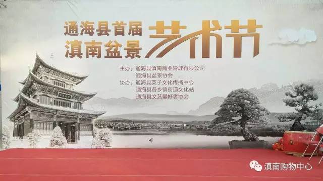 精彩推荐丨具有里程碑意义的 通海首届滇南盆景艺术节