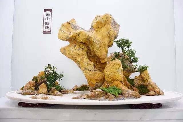 中国盆景艺术家协会常务理事单位又添新成员