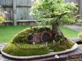 魔幻盆景 霍比特人的家