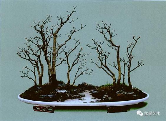 树石盆景风格及树石盆景人