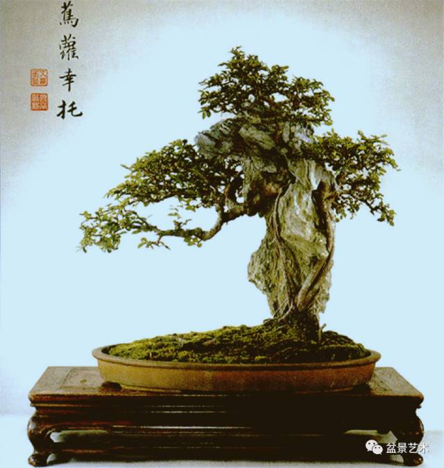 树石盆景风格及树石盆景人